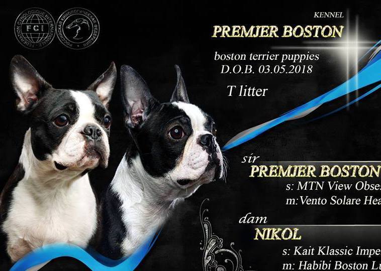 <span style="font-weight: bold;">Помет от 31.03.18 letter P (R)</span>